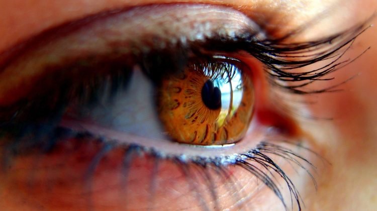eye-g3e2c40b2a_1280